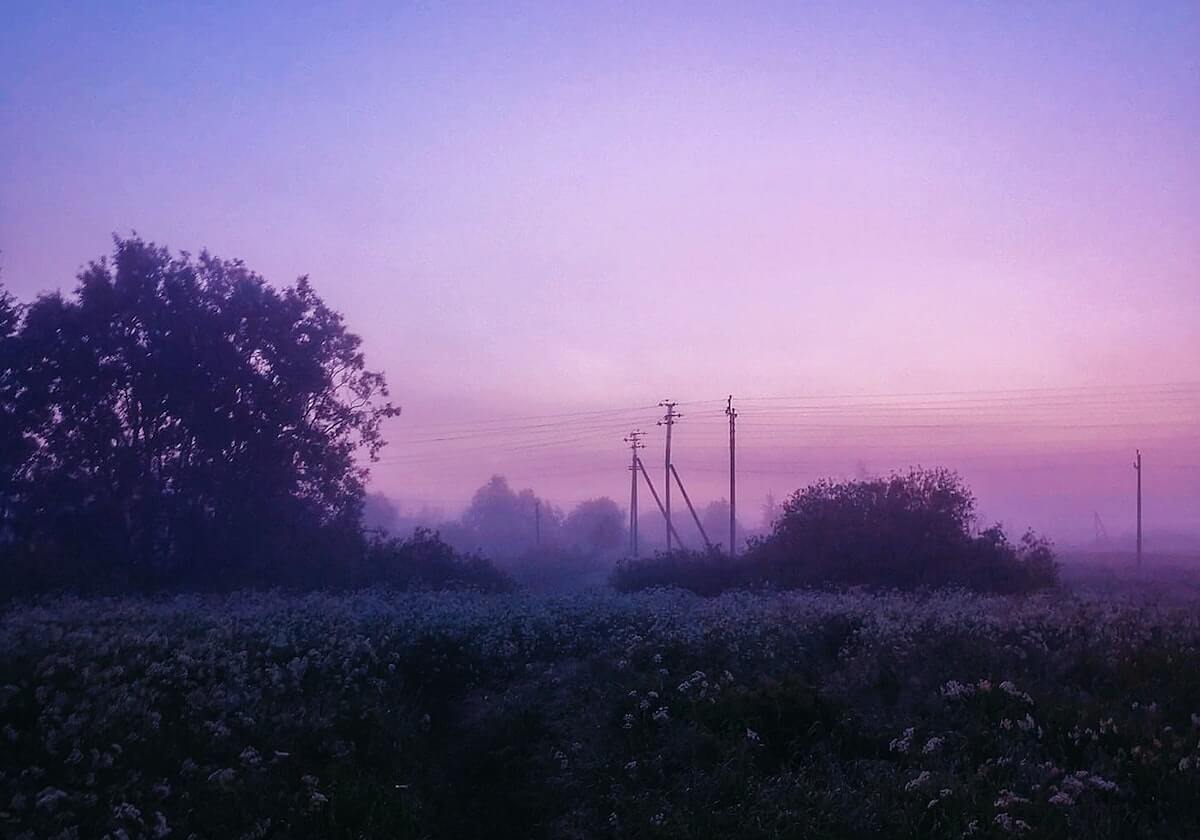 开云体育：引领未来体育体验的全新平台